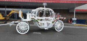 Shipley’s Horsing Around Carriage Service provides wedding transportation for couples in Pa. and W.Va.